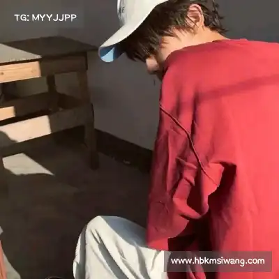 段迅煦